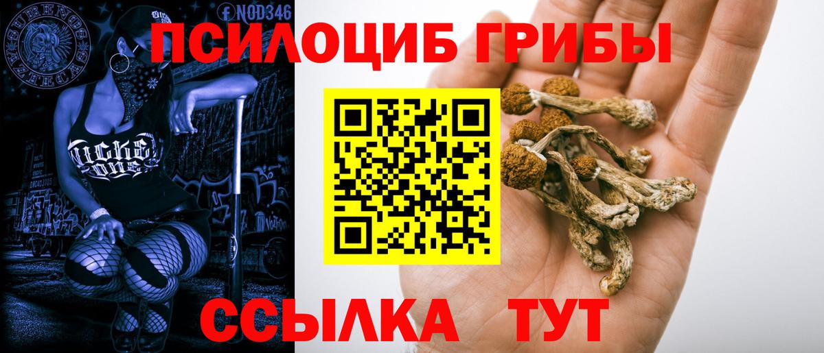 Псилоцибиновые грибы мухоморы  Вход с VPN  Спасск-Дальний 