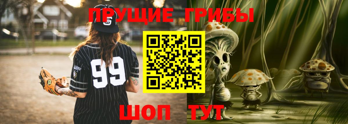Галлюциногенные грибы Psilocybe Спасск-Дальний